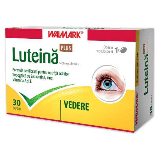 Vitamine pentru ochi | instalatiigplconstanta.ro