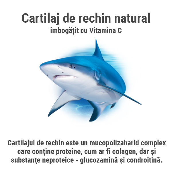 cartilaj-de-rechin-walmark-sursa-naturala-calciu-fosfor-articulatii-artroza_2.jpg