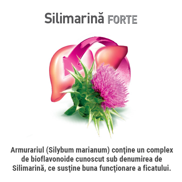 silimarina-forte-walmark-armurariu-biofavonoide-functionare-ficat_2.jpg
