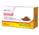 Urinal